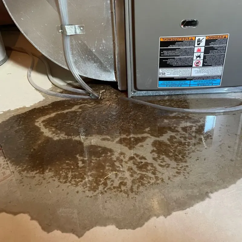 Pipe Burst and Leak Restoration in Daviess County, MO