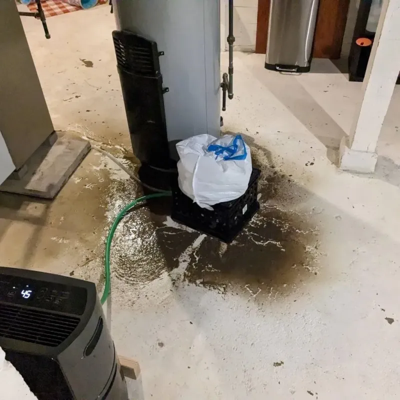 Sewage Backup Cleanup Service in Daviess County, MO